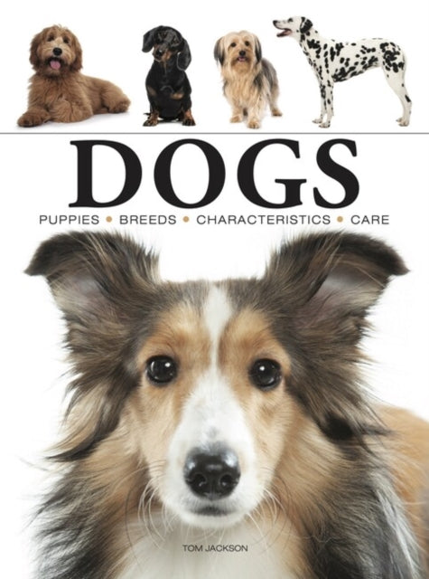 Dogs-9781838862589