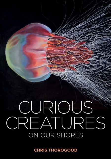 Curious Creatures on our Shores-9781851245345
