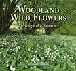 Woodland Wild Flowers : Through the Seasons-9781913159252