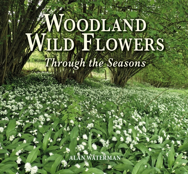 Woodland Wild Flowers : Through the Seasons-9781913159252
